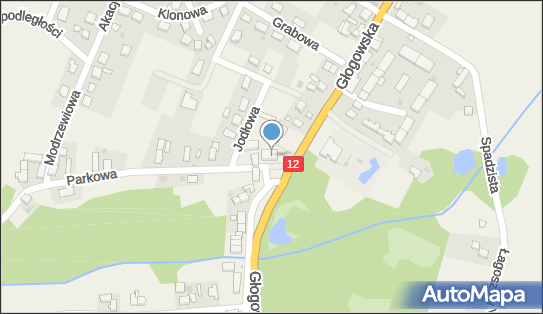 Spółdzielcza Grupa Bankowa, Głogowska 45, Radwanice 59-160, godziny otwarcia