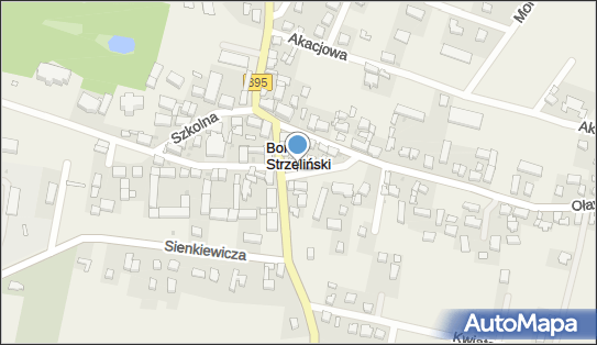 SGB-Bank S.A., Jana Pawła II 1, Borów 57-160, godziny otwarcia, numer telefonu