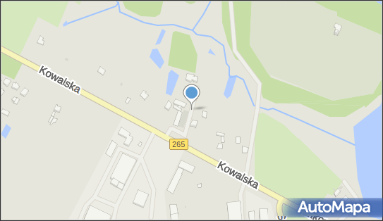 Hurtownia sztucznych kwiatów, Kowalska265 6A, Gostynin 09-500 - Sklep