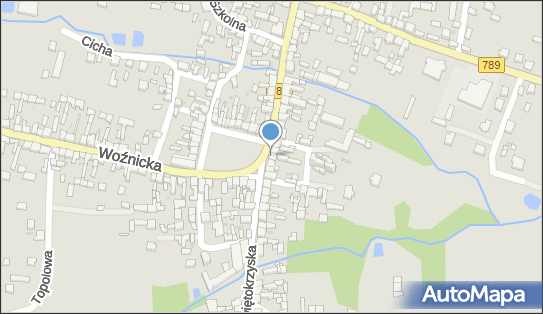 Świat Choinek, Plac Moniuszki Stanisława 3, Koziegłowy 42-350 - Sklep, numer telefonu