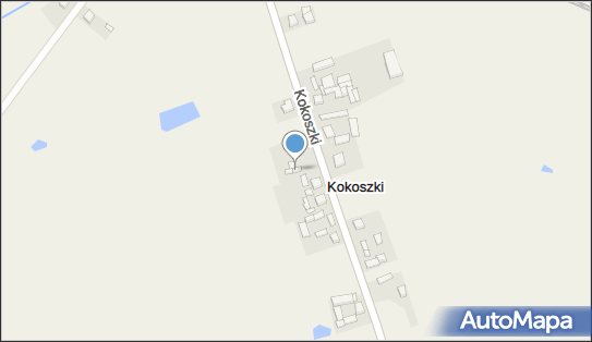 Ślusarstwo Handel, Kokoszki 16, Kokoszki 62-330 - Ślusarz, NIP: 7891404836