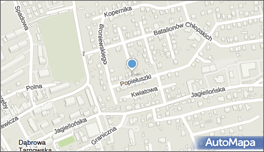 Pulak Tomasz. Firma handlowo - usługowa, Dąbrowa Tarnowska 33-200 - Spożywcza - Hurtownia, numer telefonu