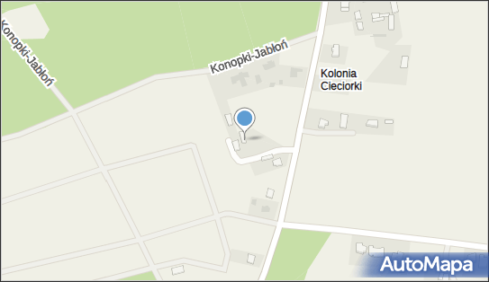 Aleksandra Saniewska Przedsiębiorstwo Handlowo-Usługowe 18-300 - Spożywczy, Przemysłowy - Sklep, NIP: 1180634148