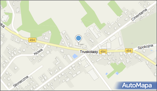 Kamil delikatesy, Częstochowska 26, Truskolasy 42-134 - Spożywczy, Przemysłowy - Sklep, numer telefonu