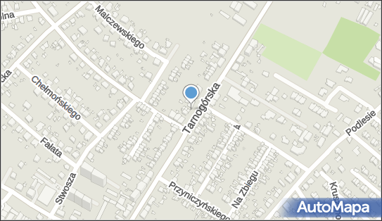 6311198881, Kuczma Joanna Sklep Ogólnospożywczy Elżbieta Krysik, Joanna Kuczma 