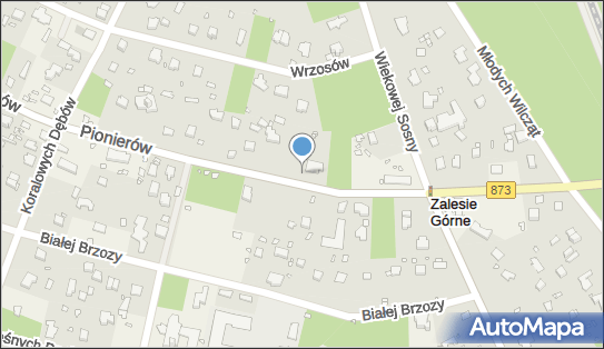 MARYSIEŃKA, Pionierów 16, Zalesie Górne - Spożywczy, Przemysłowy - Sklep, numer telefonu