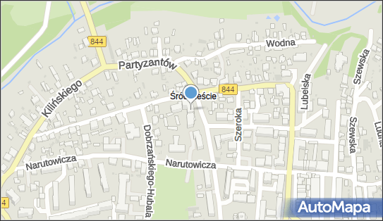 9190002069, Sklep Art.Spożywczych-Borsukiewicz Anna, Hukowska Wiesława 