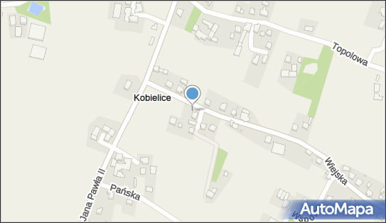 Sklep Ogólno Spożywczy, Wiejska 8, Kobielice 43-262 - Spożywczy, Przemysłowy - Sklep, NIP: 6511446266