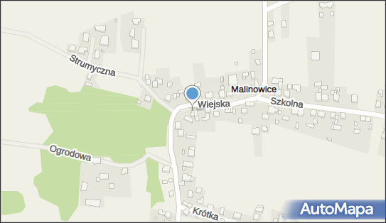 6252153427, Sklep Ogólnospożywczo-Monopolowy Tomasz Drogosz 