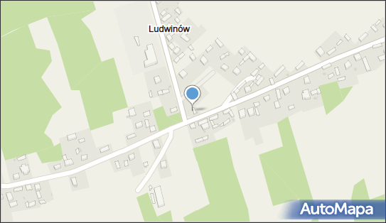 Sklep Ogólnospożywczo, Ludwinów 53, Ludwinów 42-320 - Spożywczy, Przemysłowy - Sklep