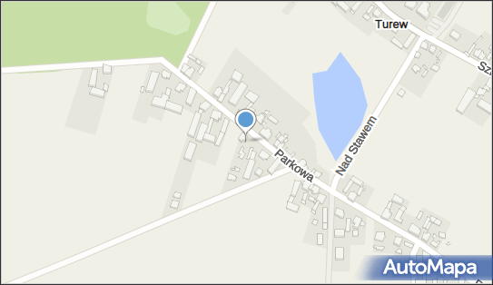 6981297289, Sklep Ogólnospożywczy Regina Kasprzak, Turew 