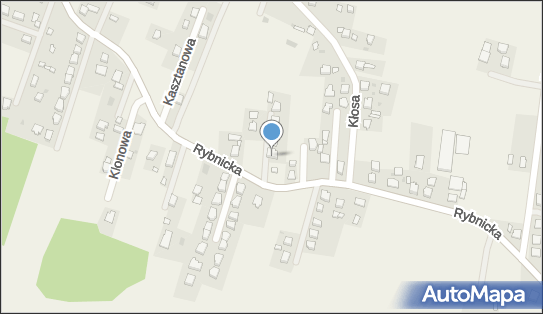 Sklep Ogólnospożywczy, Rybnicka 248, Gostyń 43-176 - Spożywczy, Przemysłowy - Sklep, numer telefonu, NIP: 6461509756