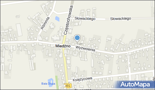 Sklep Ogólnospożywczy, Wyzwolenia 5, Miedźno 42-120 - Spożywczy, Przemysłowy - Sklep, NIP: 5741063700