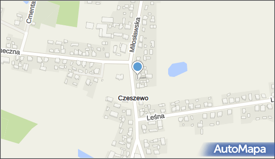 Sklep Ogólnospożywczy, Szkolna 3, Czeszewo 62-322 - Spożywczy, Przemysłowy - Sklep, NIP: 7891649673