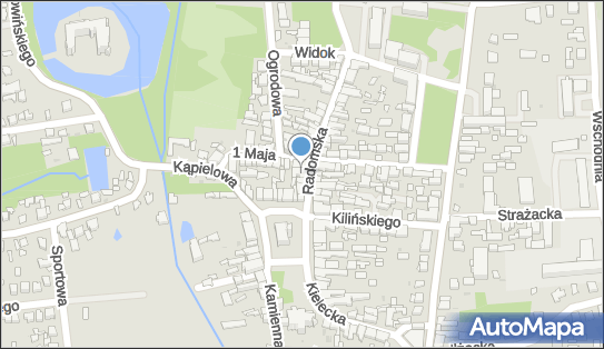 Sklep Rolno Spożywczy, Radomska 7, Szydłowiec 26-500 - Spożywczy, Przemysłowy - Sklep, NIP: 7991085201