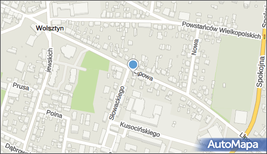 9231578382, Sklep Spożywczo-Przemysłowy Henryk Rogoża, Andrzej Grinig, Wolsztyn 