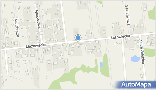 1250333341, Sklep Spożywczo-Przemysłowy HiT Tadeusz Michalski 