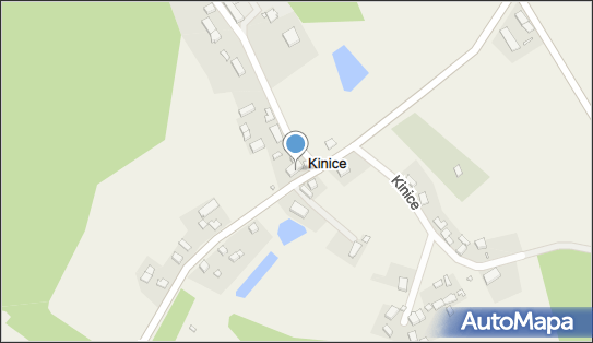 Sklep Spożywczo-Przemysłowy Joanna Rychlińska, Kinice 28, Kinice 74-304 - Spożywczy, Przemysłowy - Sklep, NIP: 5970001959