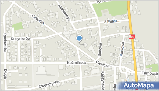8270010751, Sklep Spożywczo-Przemysłowy Leszek Juszczak 