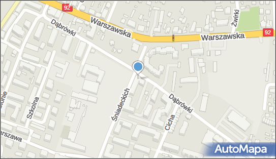 Sklep Spożywczo Przemysłowy Rex, Dąbrówki 12, Mińsk Mazowiecki 05-300 - Spożywczy, Przemysłowy - Sklep, NIP: 8221123432