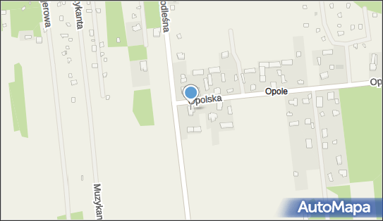 Sklep Spożywczo Przemysłowy U Prezesa, ul. Opolska 87 05-255 - Spożywczy, Przemysłowy - Sklep, numer telefonu, NIP: 1250521255