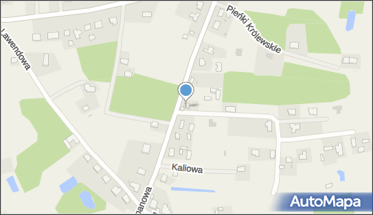 8761696657, Przedsiębiorstwo Handlowo - Usługowe Leszek Wiśniewski 