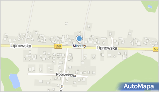 Sklep Spożywczo Przemysłowy, Miodusy 23, Miodusy 87-603 - Spożywczy, Przemysłowy - Sklep, NIP: 8931000986