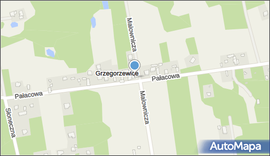 Sklep Spożywczo Przemysłowy, Pałacowa 30, Grzegorzewice 96-321 - Spożywczy, Przemysłowy - Sklep, NIP: 8380012248