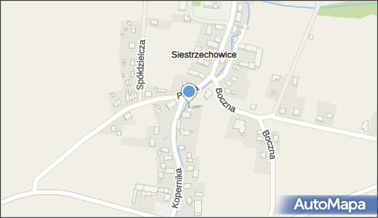 Sklep Spożywczo Przemysłowy, ul. Kopernika 8A, Siestrzechowice 48-351 - Spożywczy, Przemysłowy - Sklep, NIP: 7530019821