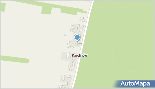 Sklep Spożywczo Przemysłowy, Budy 28, Budy 28-210 - Spożywczy, Przemysłowy - Sklep, NIP: 8661509940