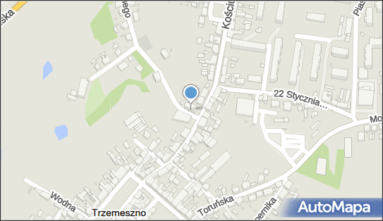 Sklep Spożywczo Przemysłowy, Trzemeszno 88-400 - Spożywczy, Przemysłowy - Sklep, NIP: 5570007763