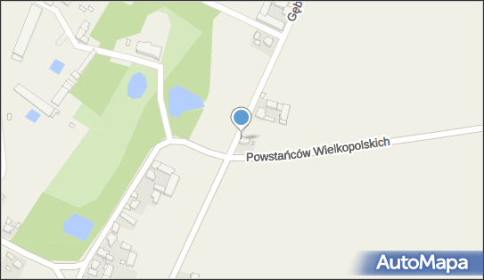 Sklep Spożywczo Przemysłowy, Gębice 28, Gębice 63-830 - Spożywczy, Przemysłowy - Sklep, NIP: 6961567751