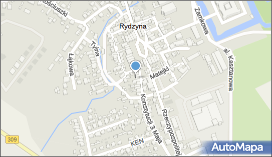 Sklep Spożywczo Warzywniczy Rydzyna, Konstytucji 3 Maja 5, Rydzyna 64-130 - Spożywczy, Przemysłowy - Sklep, NIP: 6971046255