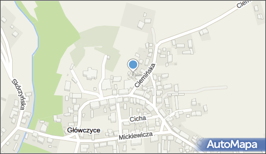 Sklep Spożywczy Mini Market, Ciemińska 1, Główczyce 76-220 - Spożywczy, Przemysłowy - Sklep, NIP: 8391691684