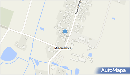 Sklep Spożywczy, Miedniewice 89 A, Miedniewice 96-315 - Spożywczy, Przemysłowy - Sklep, NIP: 8381182461