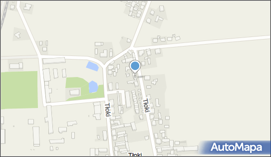 Sklep Wielobranżowy Tomasz Krawczyk, Tłoki 78b, Tłoki 64-200 - Spożywczy, Przemysłowy - Sklep, NIP: 9231479958