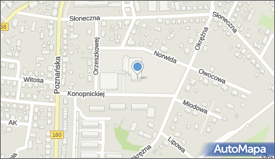 Sklepik Szkolny, ul. Konopnickiej 2, Drezdenko 66-530 - Spożywczy, Przemysłowy - Sklep, NIP: 5951074265