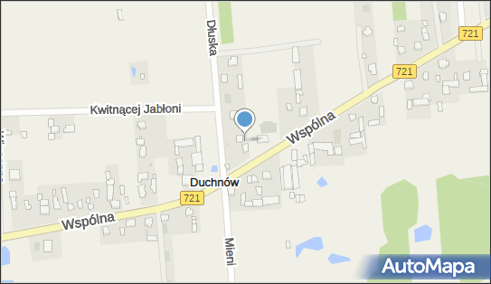 Spożywczy, Przemysłowy - Sklep, DW 721, Wspólna, Duchnów - Spożywczy, Przemysłowy - Sklep