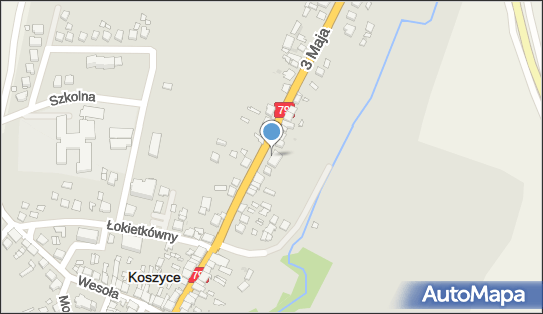 Spożywczy, Przemysłowy - Sklep, 3 Maja 44, Koszyce 32-130 - Spożywczy, Przemysłowy - Sklep