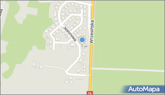 To-Pi Tomasz Konieczny Sklep Spożywczo-Przemysłowy Małe Delikatesy 62-200 - Spożywczy, Przemysłowy - Sklep, NIP: 7841652242