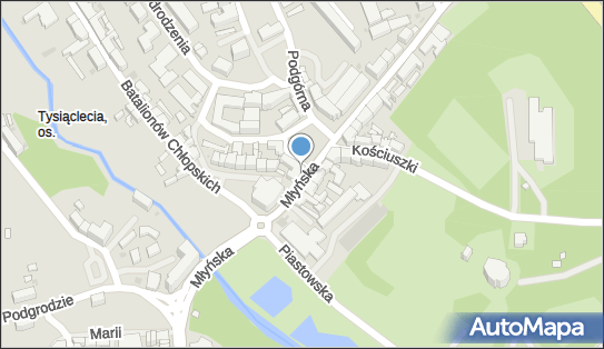 4990098163, Sklep Ogólno-Spożywczy 