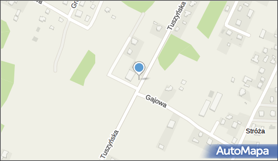 MUSTANG CAR SP.Z O.O. STACJA KONTROLI POJAZDÓW SERWIS POMOC DRO 95-020 - Stacja Kontroli Pojazdów, numer telefonu