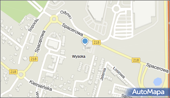Oktan, DW 218, Spacerowa 60, Gdańsk 80-299 - Stacja paliw, numer telefonu