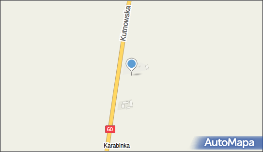 Stacja paliw, Kutnowska60, Witonia 99-335 - Stacja paliw