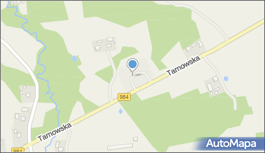 Stacja paliw, Tarnowska984, Dulcza Wielka 39-312 - Stacja paliw