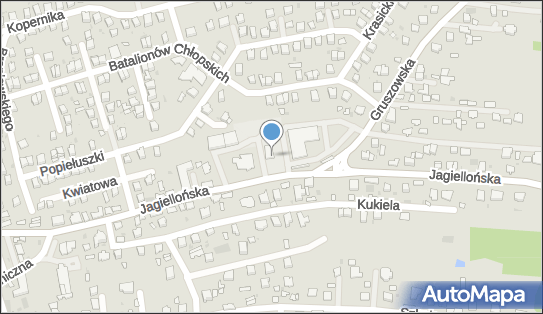 Tankpol, Jagiellońska 39c, Dąbrowa Tarnowska 33-200 - Stacja paliw, godziny otwarcia, numer telefonu