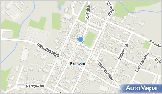 Strefa płatnego parkowania, Plac Grunwaldzki, Praszka - Strefa płatnego parkowania