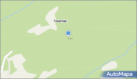 Tokarniak, Tokarniak 