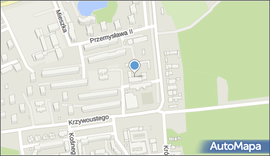 Szkoła Języków Obcych Lang, Bolesława Śmiałego 4 47-232 - Szkoła kształcenia ustawicznego, numer telefonu