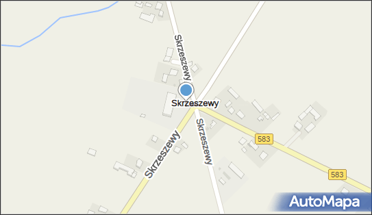 SP, DW 583, Skrzeszewy - Szkoła podstawowa